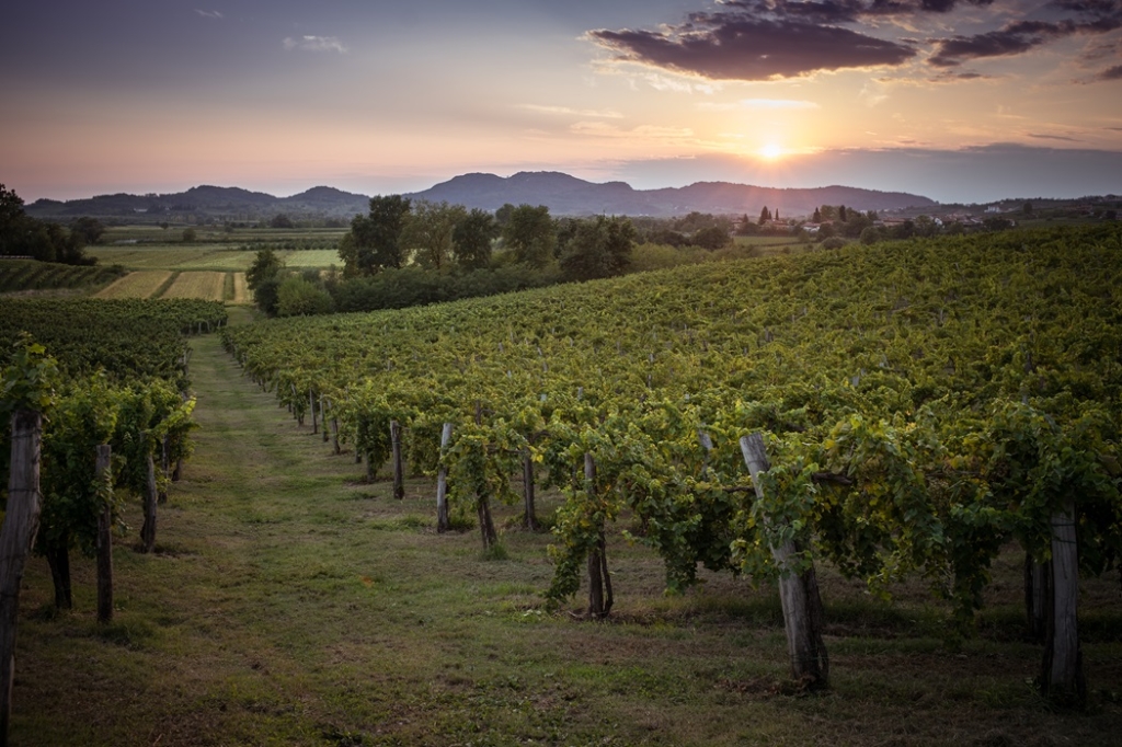 Il paesaggio che abbraccia la Komjanc Alessio